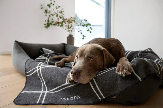 Hundedecke L Ida Kariert Anthrazit Hellgrau Palopa