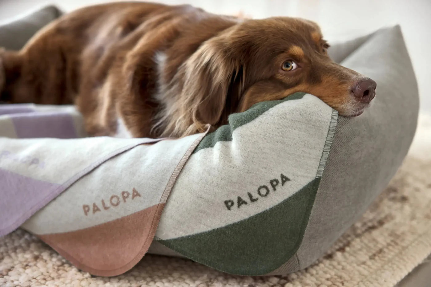 Hundedecke M Ida Streifen Lila Palopa