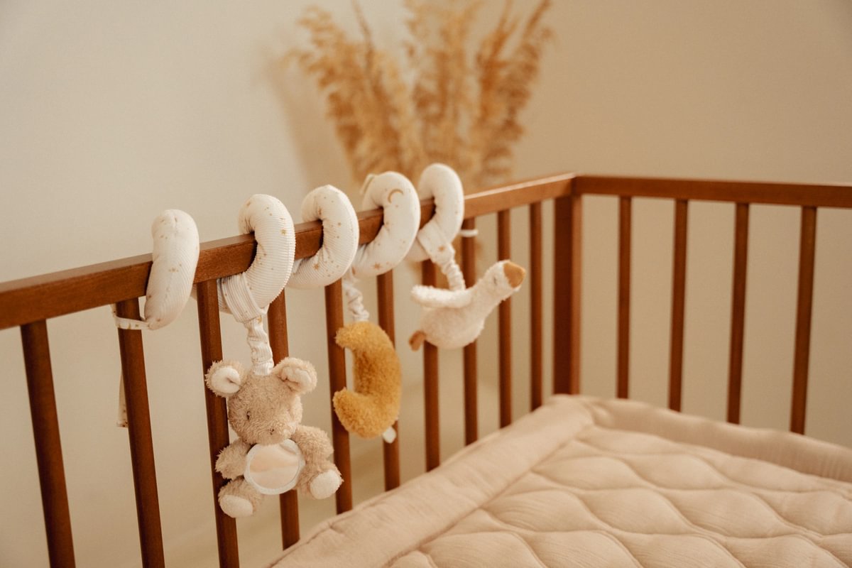 Little Dutch Aktivitätsspirale Goose Newborn Naturals