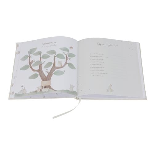 Little Dutch Baby Erstes Jahr Buch Baby Bunny - englisch