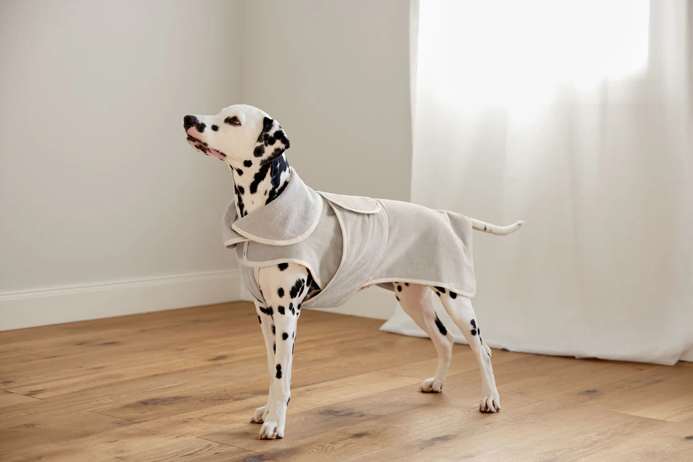 Hundebademantel - Robi, Beige