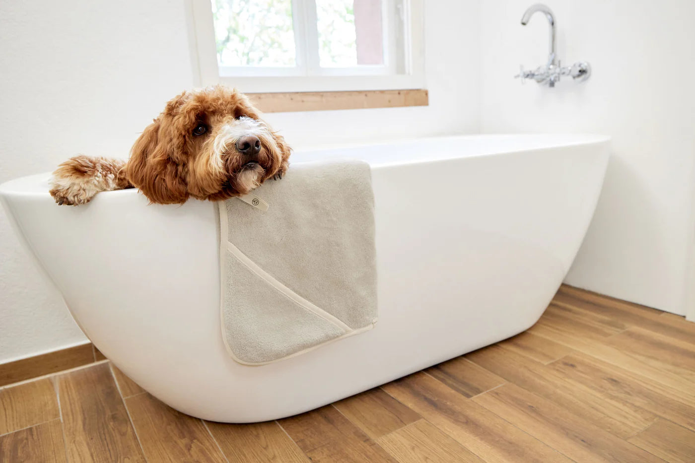 Hundehandtuch - Kosy, Beige