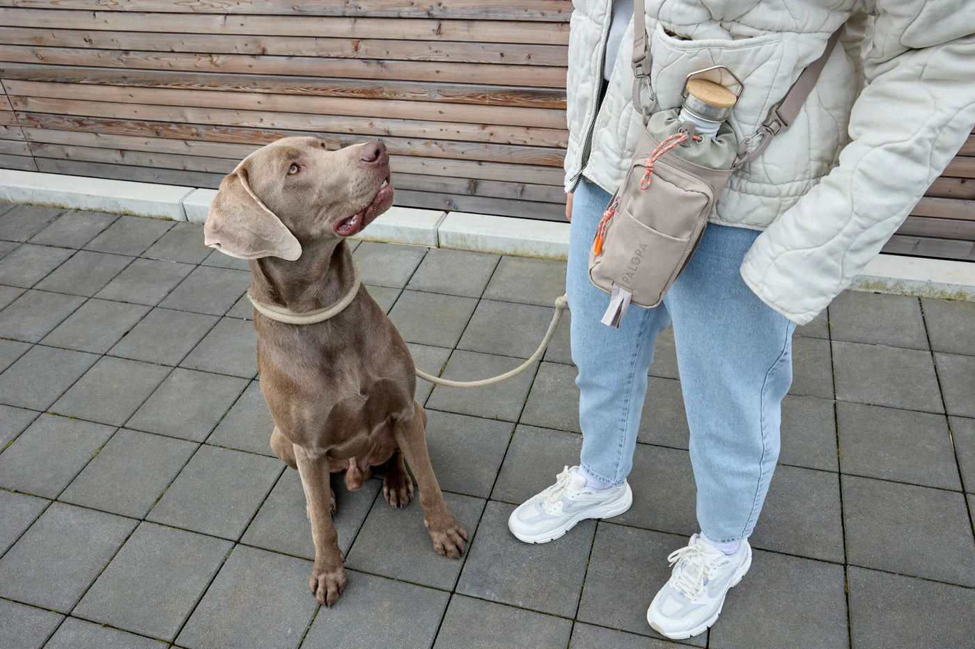 Flaschen- und Leckerlitasche - Boudi, Taupe