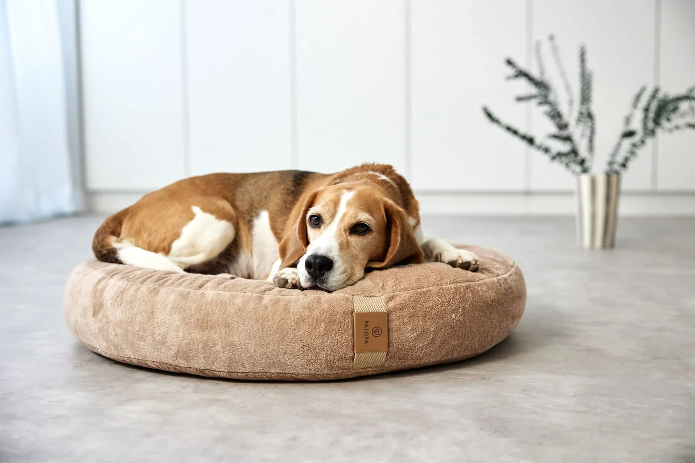 Hundebett Rund - Fippa, Humus