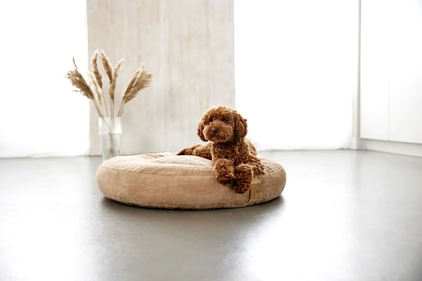 Hundebett Rund - Fippa, Humus