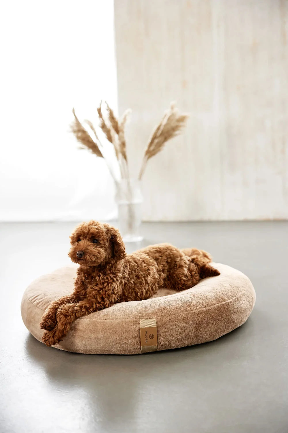 Hundebett Rund - Fippa, Humus
