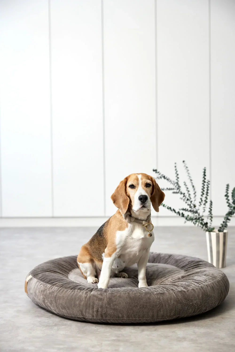 Hundebett Rund - Fippa, Taupe