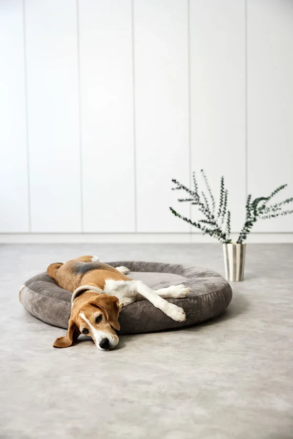 Hundebett Rund - Fippa, Taupe