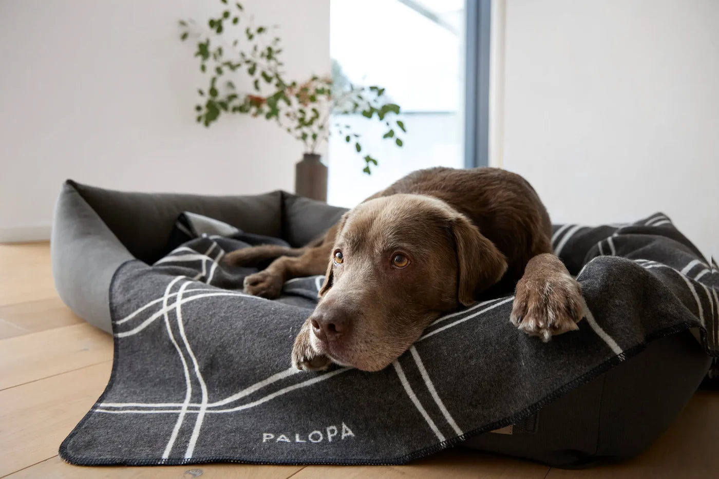 Hundedecke L Ida Kariert Anthrazit Hellgrau Palopa