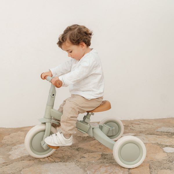 hollandrad dreirad Dreirad 4 in 1 mit Griff Grün Green Leaf Little Dutch Vorbestellung: L – familyconceptstore.de