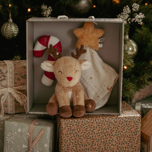Little Dutch Geschenkset Weihnachten Xmas Baby Kuschelset
